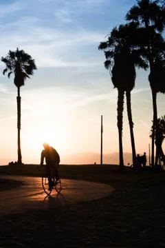 Road cyclist at sunset Stock Photos