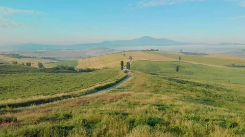 Road with cypress trees in the Val d orcia near Pienza in Tuscany, Italy Stock-Footage 91748511