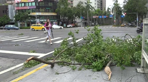 Road Damage After Tropical Storm Hits Taiwan, Typhoon Soudelor 4K-Dan Stock Footage