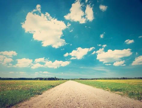 Road on dandelion field Stock Photos