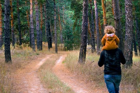 Road in the dark forest Stock Photos