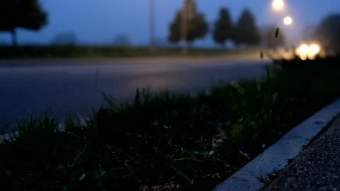 Road in dawn with car light trails Stock Footage 139970305
