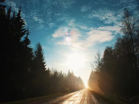 Road in the dawn  Stockfoto's