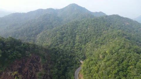 Road in a dense mountain forest 4k 30p drone shot Stock Footage 231294776