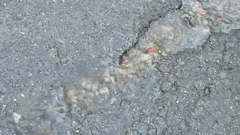 Road destroyed after winter. Waret flow on the road Stock Footage 249733292