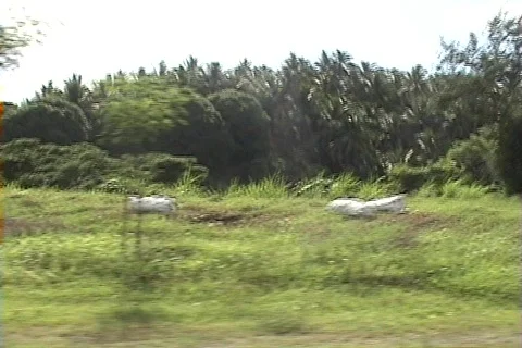 Road drive 스톡 동영상 131392