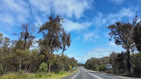 Road drive 库存影片 305588127