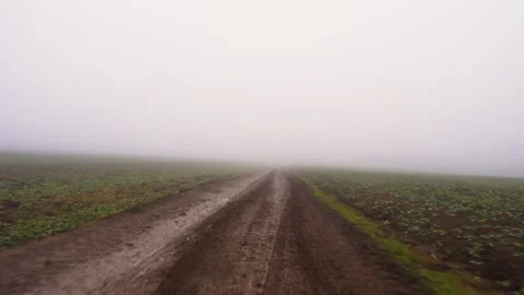 Off-road driving among fields. Wet country road in fog. Stock Footage 296236576