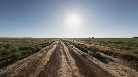 Off-road driving on a dirt path through open landscape under bright sun Stock Footage 341975650