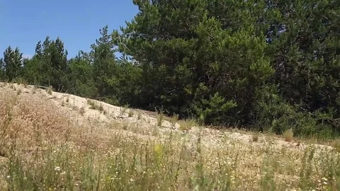 Off-road driving Stock-Footage 75219016