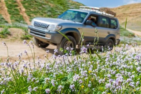 Off road driving Stock Photos