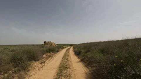 Off-road driving on sandy path through green vegetation in open landscape Stock Footage 341974202