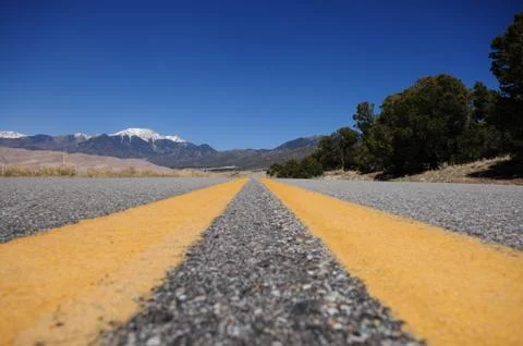Road to the dunes. Stock Photos