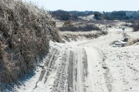 Road into dunes Stock Photos
