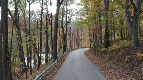 Road during autumn/fall 動画素材 131896397
