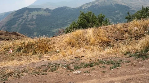 Road edge Stock Footage 95545346