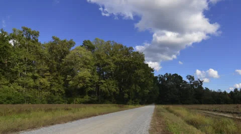 Road at the Edge of a Forest Time Lapse Video stock 23493970