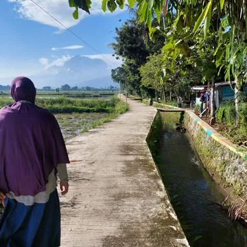 Road on the edge of the rice fields and irrigation Stock Photos
