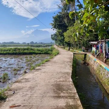 Road on the edge of the rice fields and irrigation Stock Photos