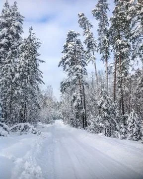 The road at the evening winter forest, in cloudy day Stock Photos
