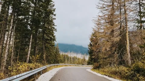Road in the fall forest against the background of mountains Stock Footage 254606247