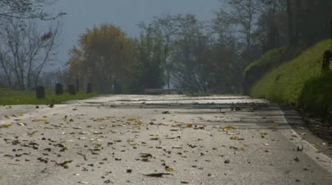 Road fall leaves 01 Stock Footage