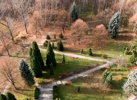 Road at fall Stock Photos