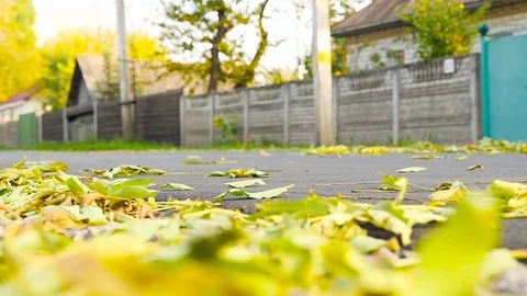 A road with the falling leaves and moving motorbike Stock Footage 71259860