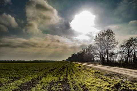 Road in the field and the sun in spring Stock Photos