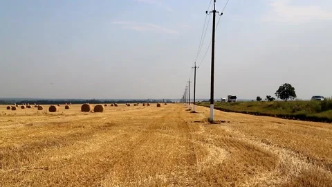 Road in field with beveled wheat Stock Footage 86163701