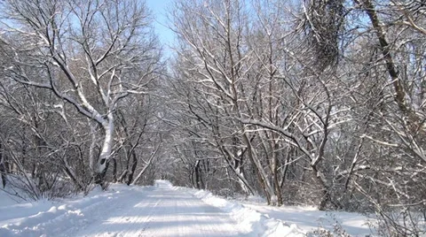A road is in-field cleaned from snow Stock Footage 32971367