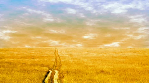 Road to the field Stock Footage 622735