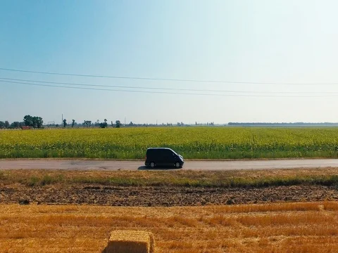 Road to the field Stock Footage 73459509