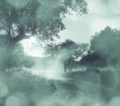 Road in field Stock Illustration