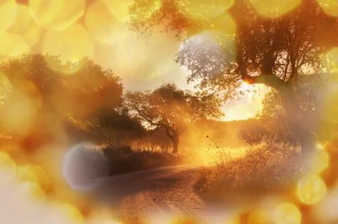 Road in field Stock Illustration