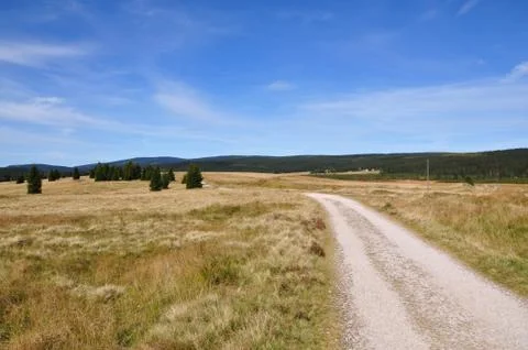 Road on field Stock Photos