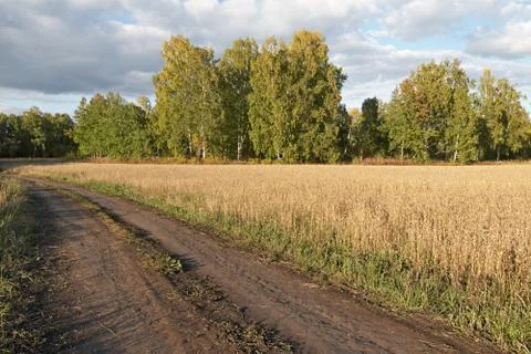 Road in field Stock Photos