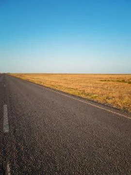 Road in a field Stock Photos