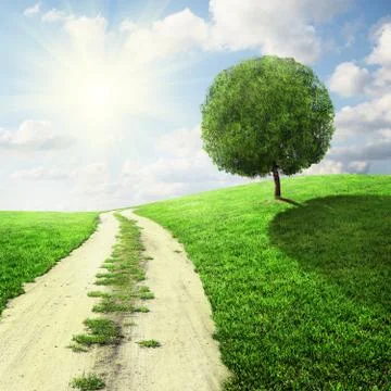 Road in field Stock Photos