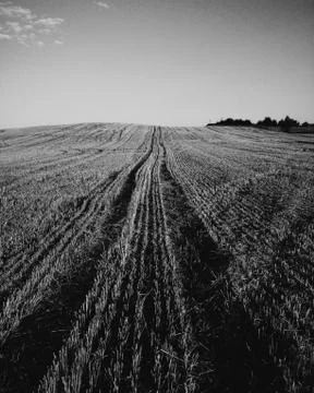 Road in field Stock Photos