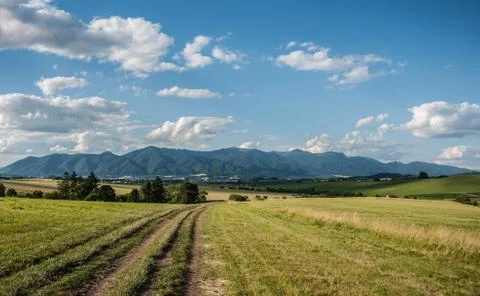 Road on field Foto stock