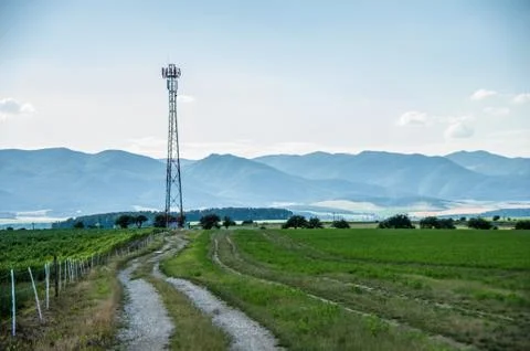 Road on field Foto stock