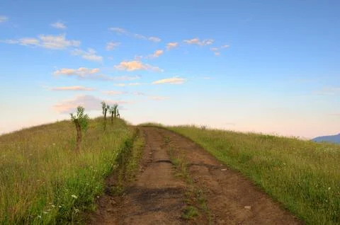 Road in field Stock Photos