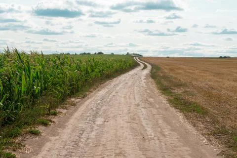 Road in the field Stock Photos