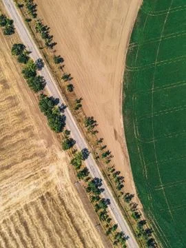 Road in the field Stock Photos