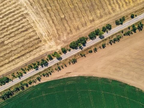 Road in the field Stock Photos