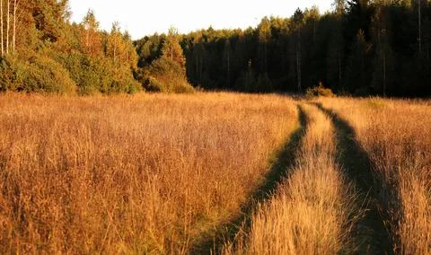 Road in the field at sunset Stock Photos