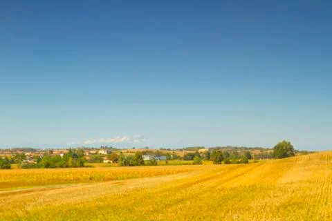 Road in the fields Stock Photos