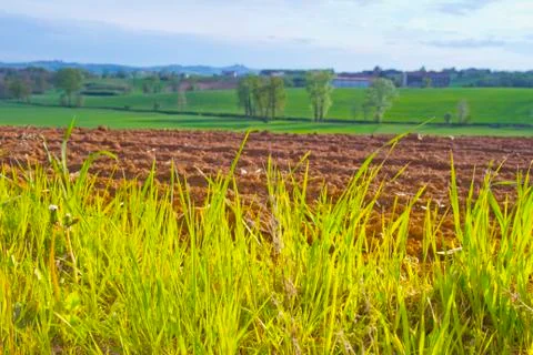 Road in the fields Stock Photos