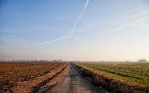 Road in the fields Foto stock